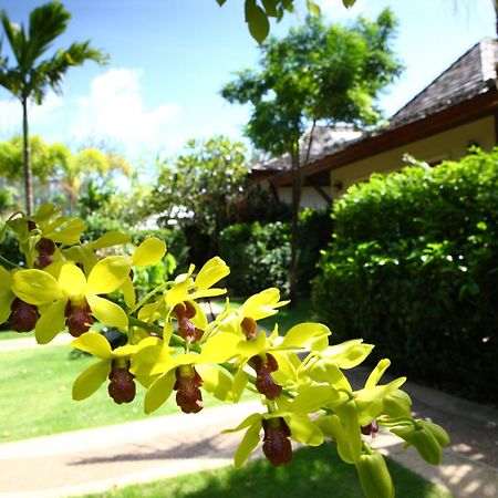 Pai Tan Villas - Sha Extra Plus Bang Tao Beach  Exterior photo